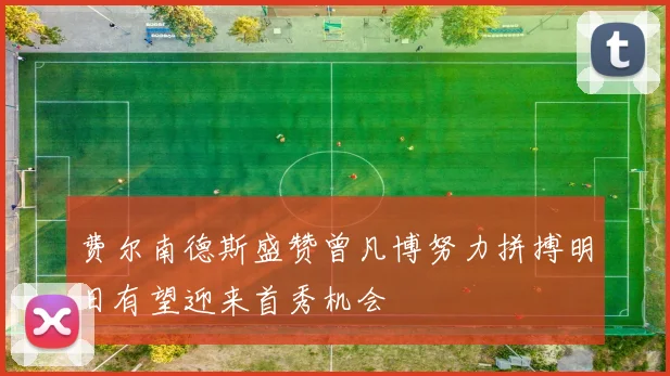 费尔南德斯盛赞曾凡博努力拼搏明日有望迎来首秀机会