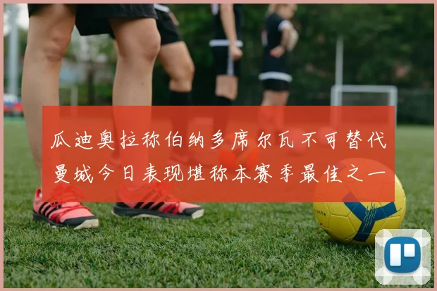 瓜迪奥拉称伯纳多席尔瓦不可替代曼城今日表现堪称本赛季最佳之一